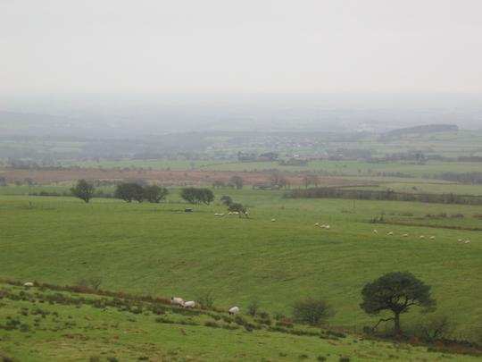 View from the Tower