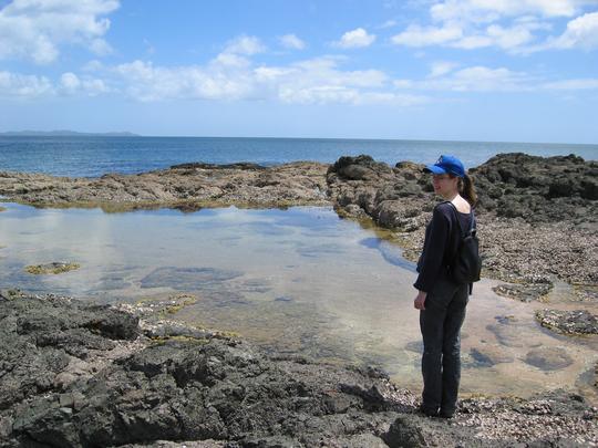 Tide Pools near Cable Bay, New Zealand