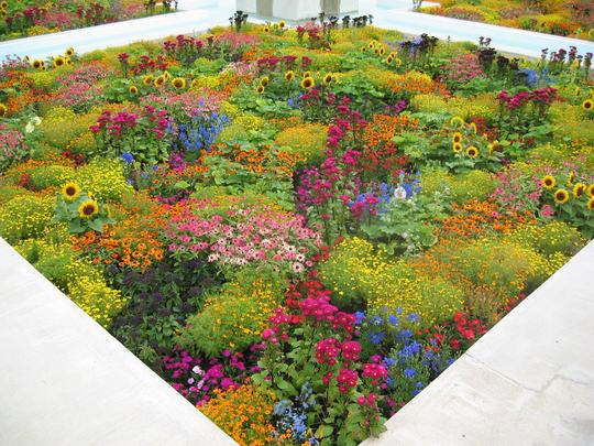 Indian Garden, Hamilton Gardens